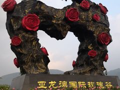 -亚龙湾国际玫瑰谷