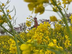 -古柏渡飞黄旅游区