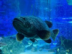 -沈阳海洋探索中心