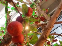 -山楂树融合菜餐厅
