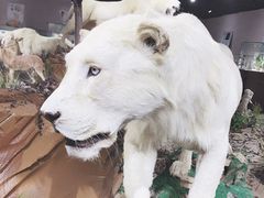 -陕西自然博物馆