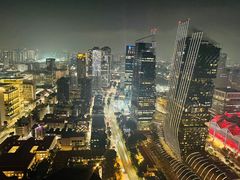 -新加坡瑞士史丹福酒店