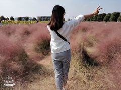-映月湖中央公园