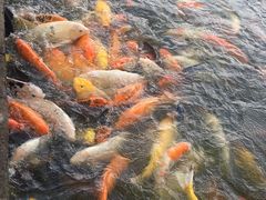 -珠海圆明新园
