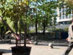 -白鹭湾湿地公园