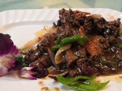 -宝发园名菜馆