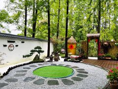 -东平国家森林公园