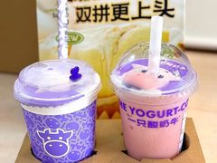 -一只酸奶牛(八一路店)