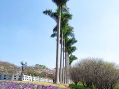 -广州莲花山旅游区