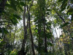 -中国科学院西双版纳热带植物园