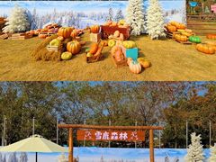 -盈香心动乐园