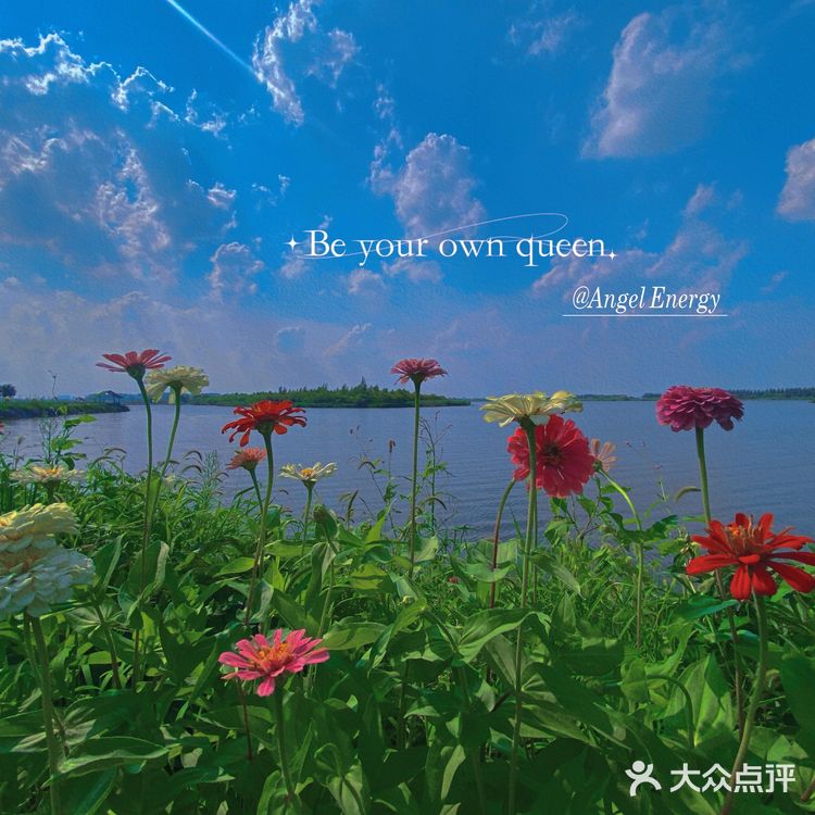 看荷花的好地方！