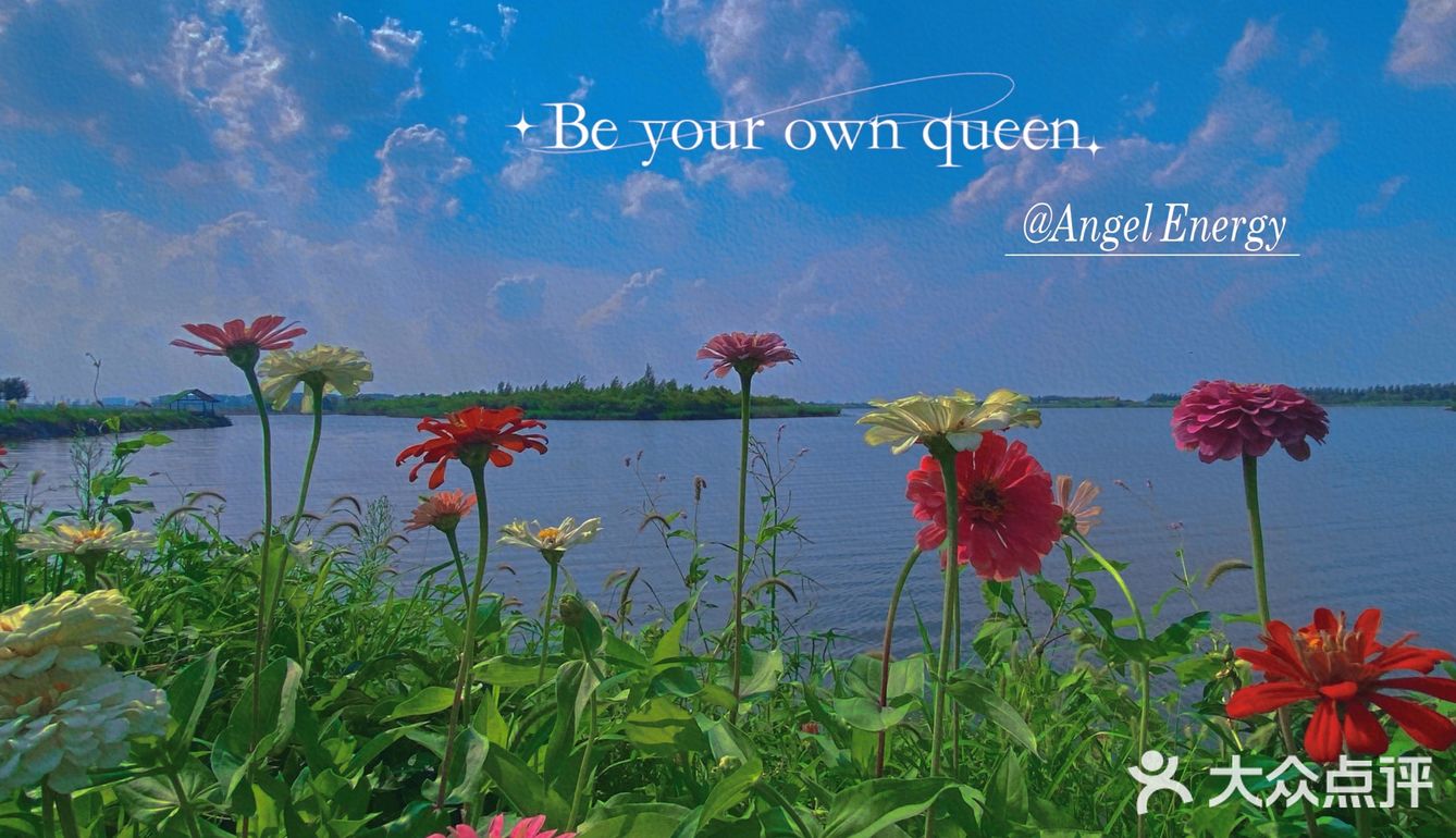 看荷花的好地方！