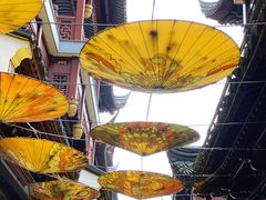 -老桐椿 · 上海大馄饨