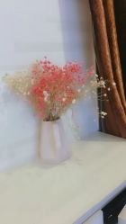 -西美医疗美容门诊部