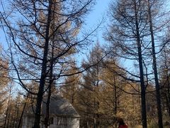 -白草畔自然风景区