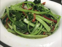 农家油白菜炒肉-海尔巴格一甸茶餐厅(团结路店)