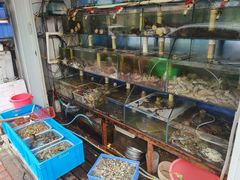 水产区-来之顺海鲜菜馆·青岛菜(栈桥店)