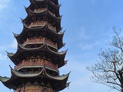 -龙华素斋(龙华路店)