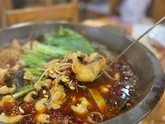 -都江堰石锅鱼