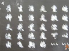 11-物质生活书·酒吧