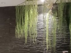 -重庆德忆火锅（龙南街3店）(渝水岸餐饮)