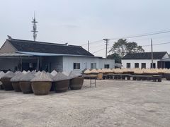 -苏州市吴中区光福窑上花果蜜饯厂