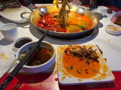 -小龙翻大江文化火锅(宽窄店)