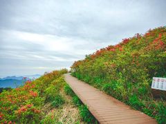-瑞安圣井山景区