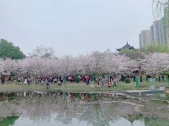 -堤角公园