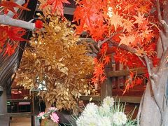 -蓉城老妈火锅(双林路店)