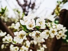-洨河生态公园
