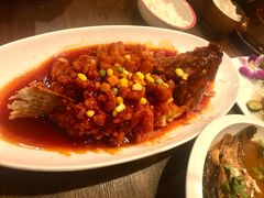 松鼠桂鱼-新木器时代餐厅(太湖新天地店)