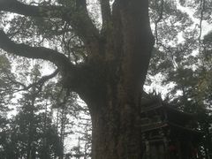 -安溪清水岩