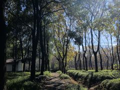 -嘉北郊野公园