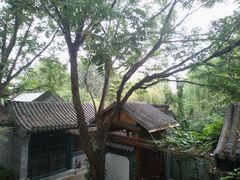 -悦真雅院·四合院·清真私房菜(雍和宫店)