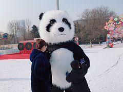 -沈阳奥体冰雪嘉年华