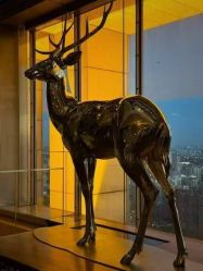 -北京柏悦酒店宴会厅