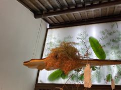-竹子咖啡bamboo coffee