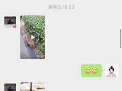 -波姐宠物家庭寄养
