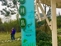 -桤木河湿地公园