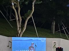 -白石龙音乐公园