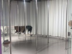 -水灵子·专注成人零基础