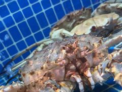 -泓炙颐凤鲜海鲜火锅料理(桐乡店)