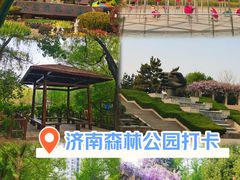 -济南森林公园