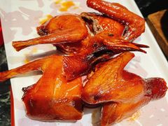 红烧乳鸽-大鸽饭(北京路店)