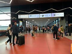 -谢列梅捷沃国际机场