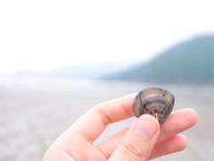 -小皓村
