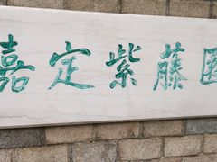 -嘉定紫藤园