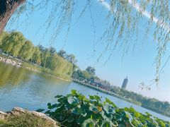 -西海子公园
